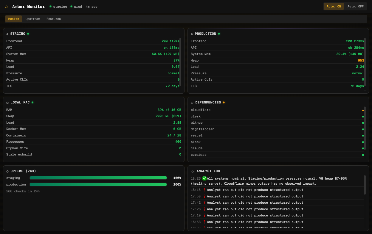 Amber Monitor Health Tab